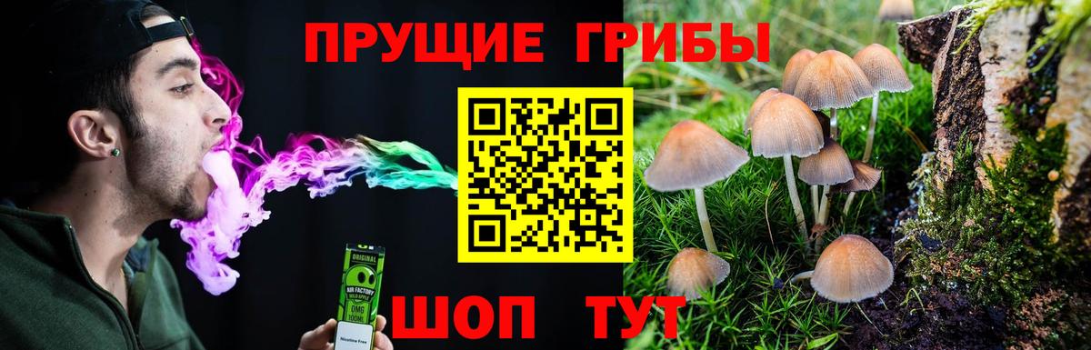 Белгород  Псилоцибиновые грибы MAGIC MUSHROOMS  Псилоцибиновые грибы Magic Shrooms  Вход с VPN 